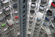 白虎图片日常使用笔记：不同人群使用场景下的适配度观察，白虎照片头像