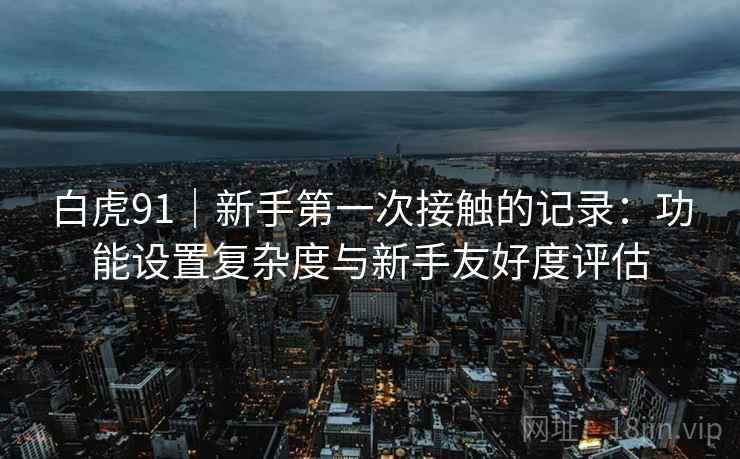 白虎91|新手第一次接触的记录:功能设置复杂度与新手友好度评估