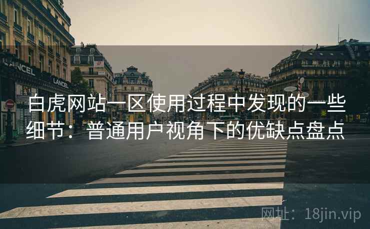 白虎网站一区使用过程中发现的一些细节:普通用户视角下的优缺点盘点