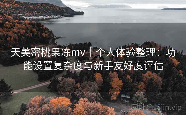 天美密桃果冻mv｜个人体验整理：功能设置复杂度与新手友好度评估