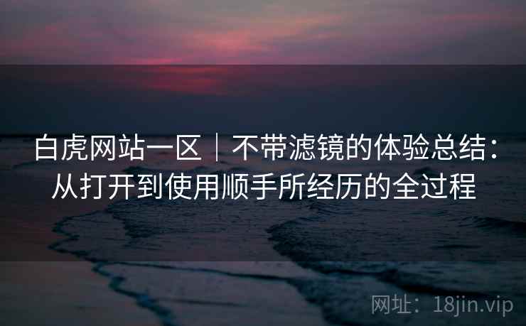 白虎网站一区|不带滤镜的体验总结:从打开到使用顺手所经历的全过程