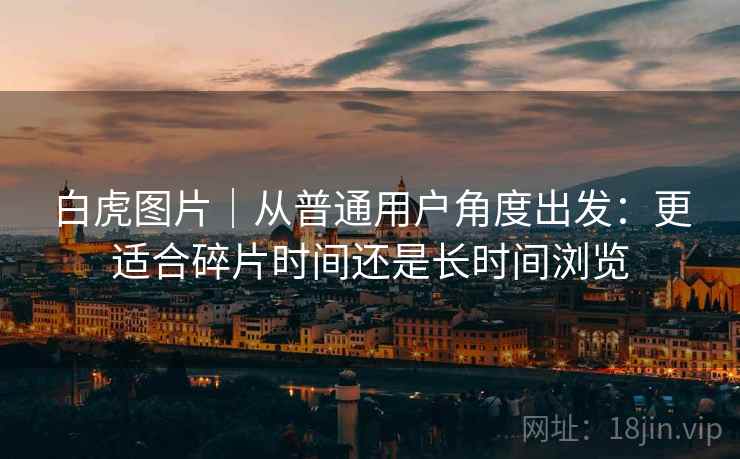 白虎图片｜从普通用户角度出发：更适合碎片时间还是长时间浏览