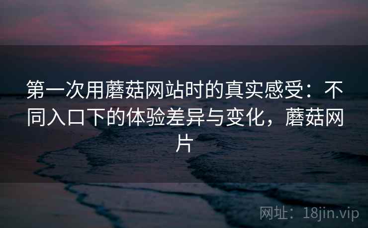 第一次用蘑菇网站时的真实感受:不同入口下的体验差异与变化,蘑菇网片