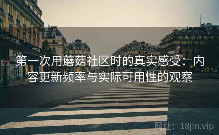 第一次用蘑菇社区时的真实感受：内容更新频率与实际可用性的观察