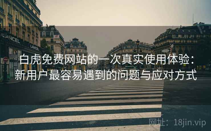 白虎免费网站的一次真实使用体验：新用户最容易遇到的问题与应对方式  第1张