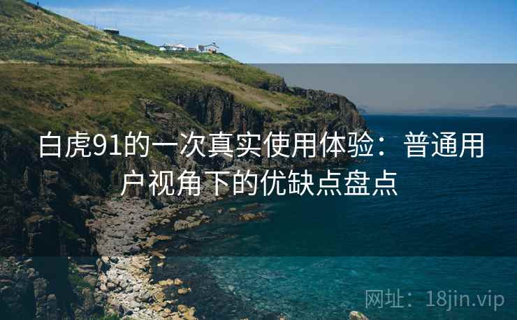 白虎91的一次真实使用体验：普通用户视角下的优缺点盘点  第1张