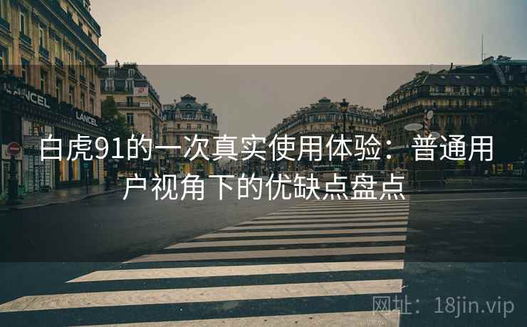 白虎91的一次真实使用体验：普通用户视角下的优缺点盘点  第2张
