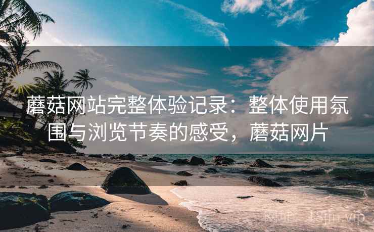 蘑菇网站完整体验记录：整体使用氛围与浏览节奏的感受，蘑菇网片