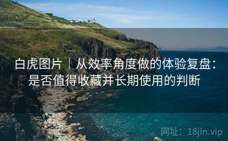 白虎图片｜从效率角度做的体验复盘：是否值得收藏并长期使用的判断
