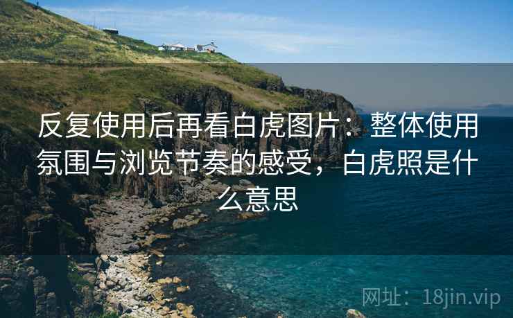 反复使用后再看白虎图片：整体使用氛围与浏览节奏的感受，白虎照是什么意思