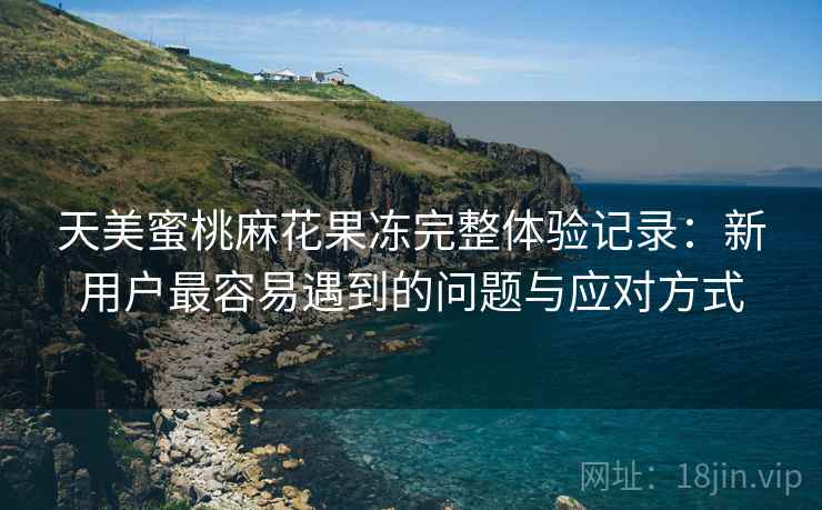 天美蜜桃麻花果冻完整体验记录：新用户最容易遇到的问题与应对方式