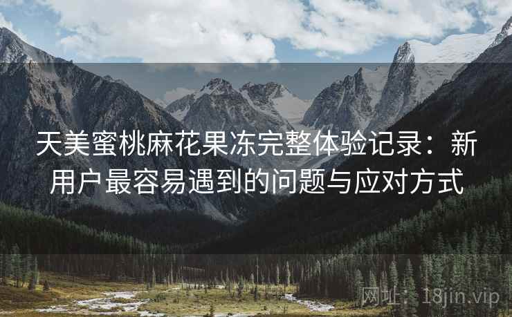 天美蜜桃麻花果冻完整体验记录：新用户最容易遇到的问题与应对方式