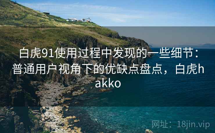 白虎91使用过程中发现的一些细节：普通用户视角下的优缺点盘点，白虎hakko
