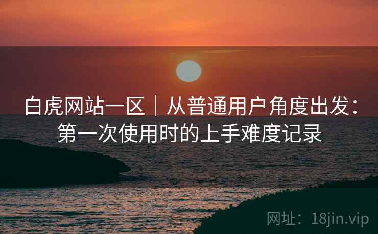 白虎网站一区｜从普通用户角度出发：第一次使用时的上手难度记录