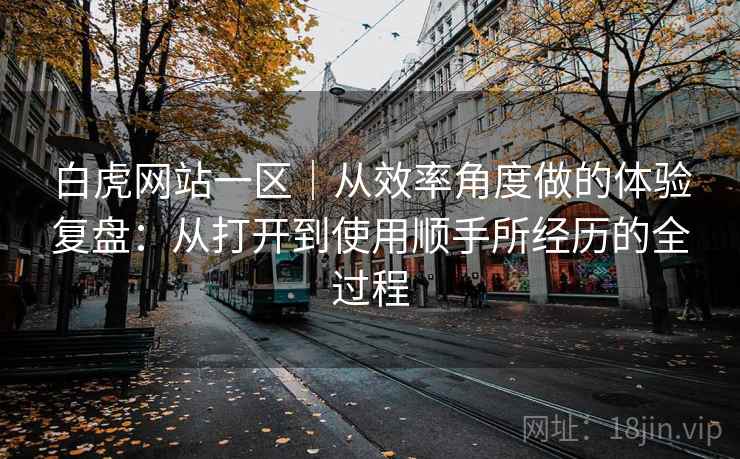 白虎网站一区｜从效率角度做的体验复盘：从打开到使用顺手所经历的全过程