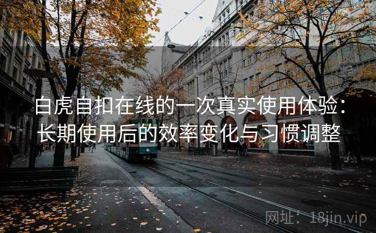 白虎自扣在线的一次真实使用体验：长期使用后的效率变化与习惯调整