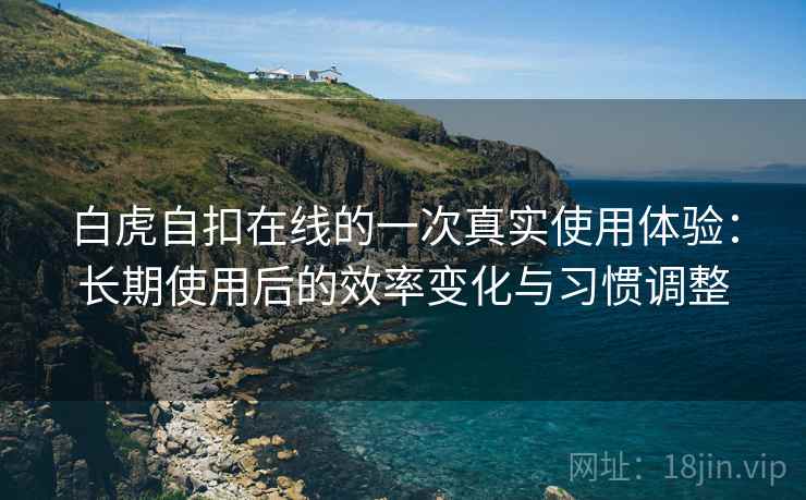 白虎自扣在线的一次真实使用体验：长期使用后的效率变化与习惯调整